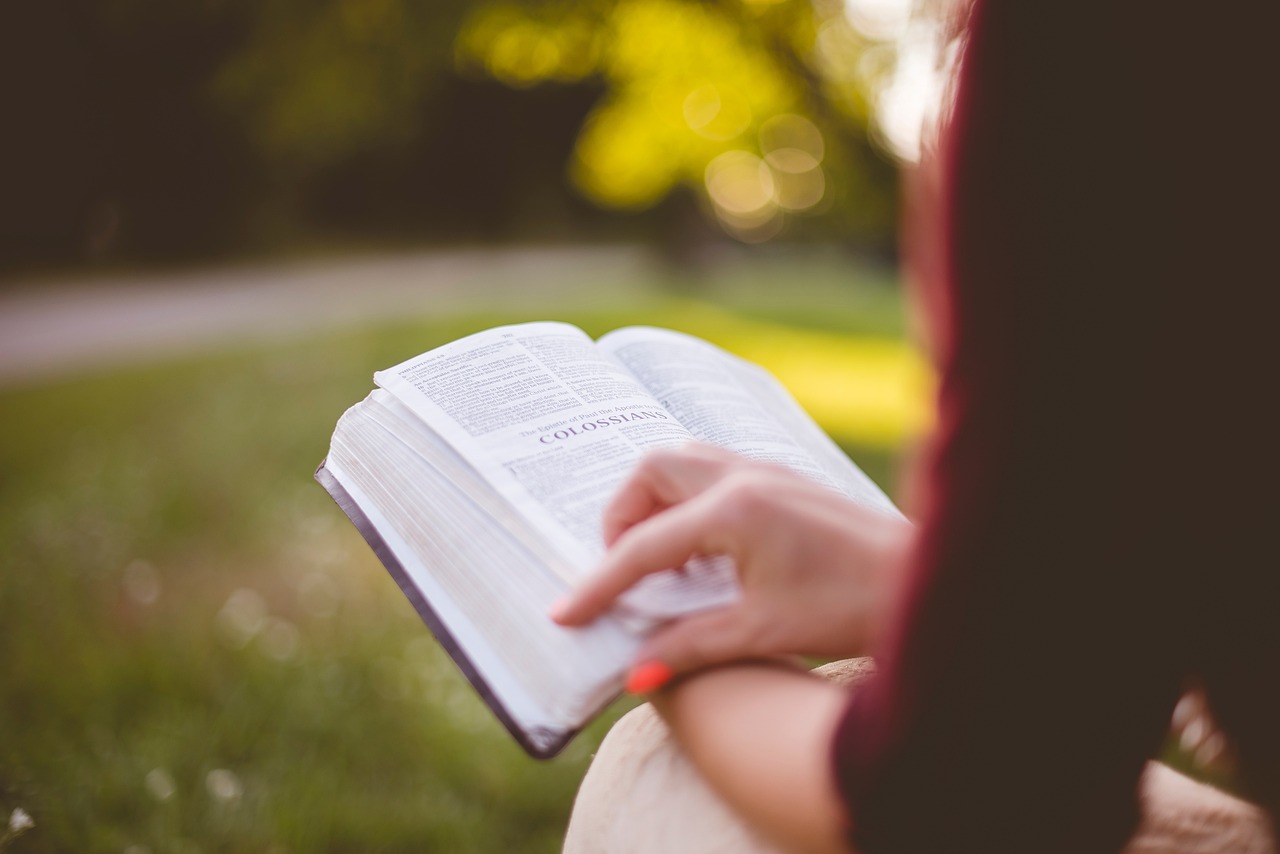 people, girl, sitting, reading, book, bible, hand, outdoor, brown book, brown books, brown reading, brown bible, bible, bible, bible, bible, bible