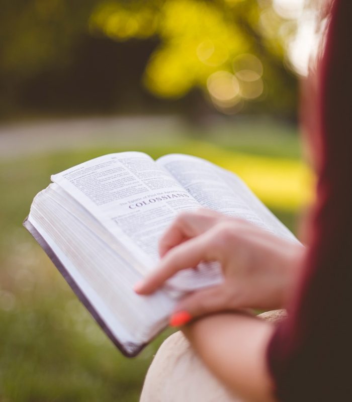 people, girl, sitting, reading, book, bible, hand, outdoor, brown book, brown books, brown reading, brown bible, bible, bible, bible, bible, bible